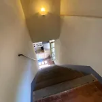 Alloro 6